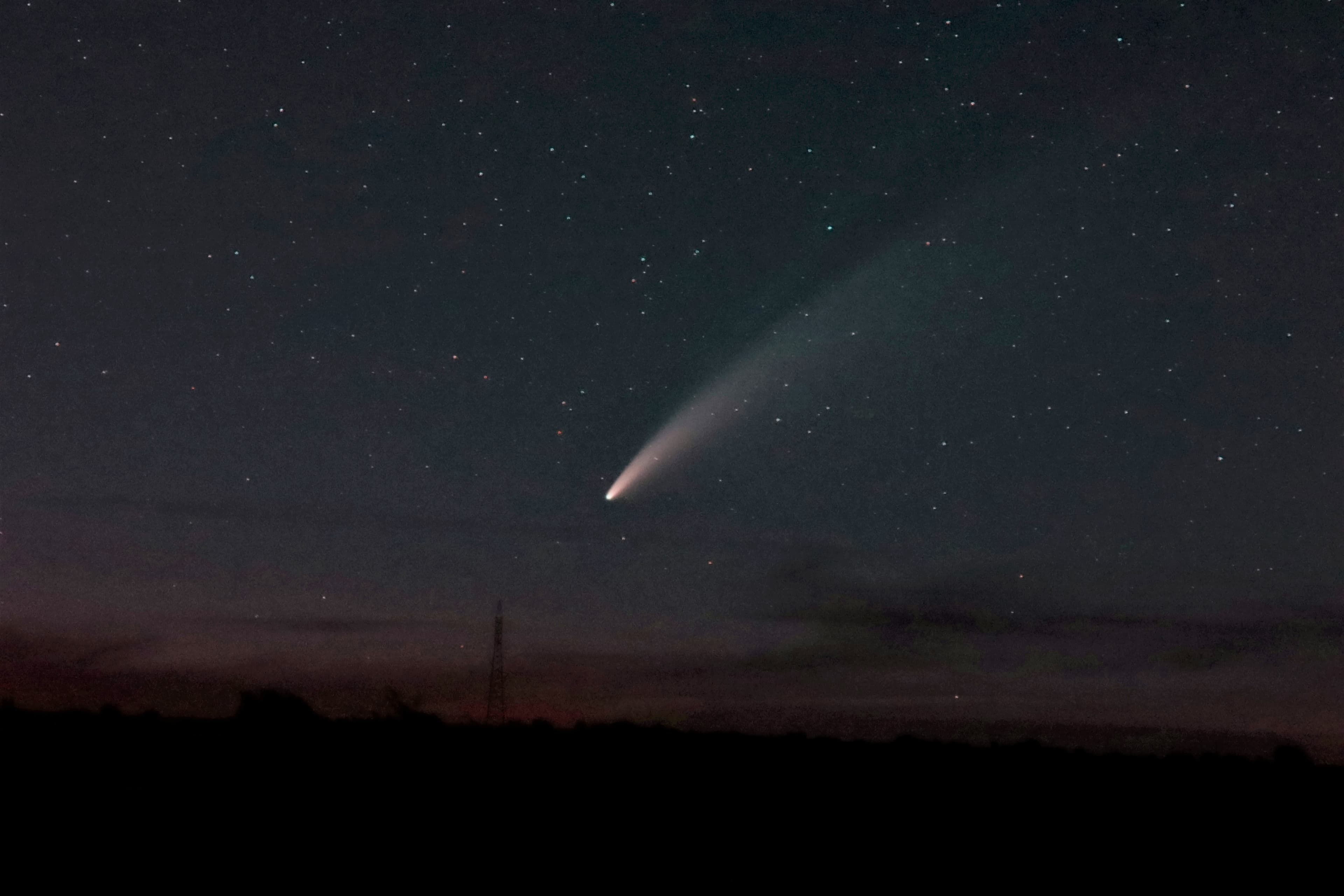 Cometa Neowise al anochecer