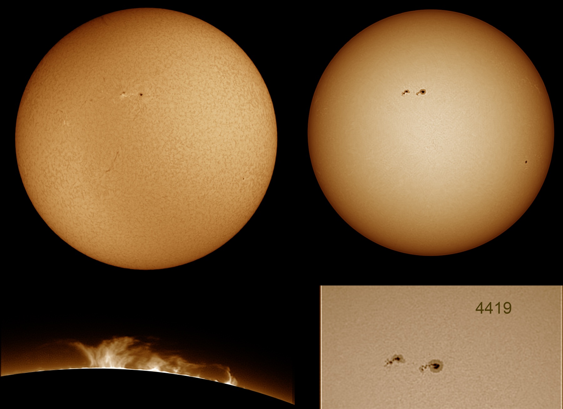 18 MOSAICO 18 DE ABRIL DE 2026 WEB 1