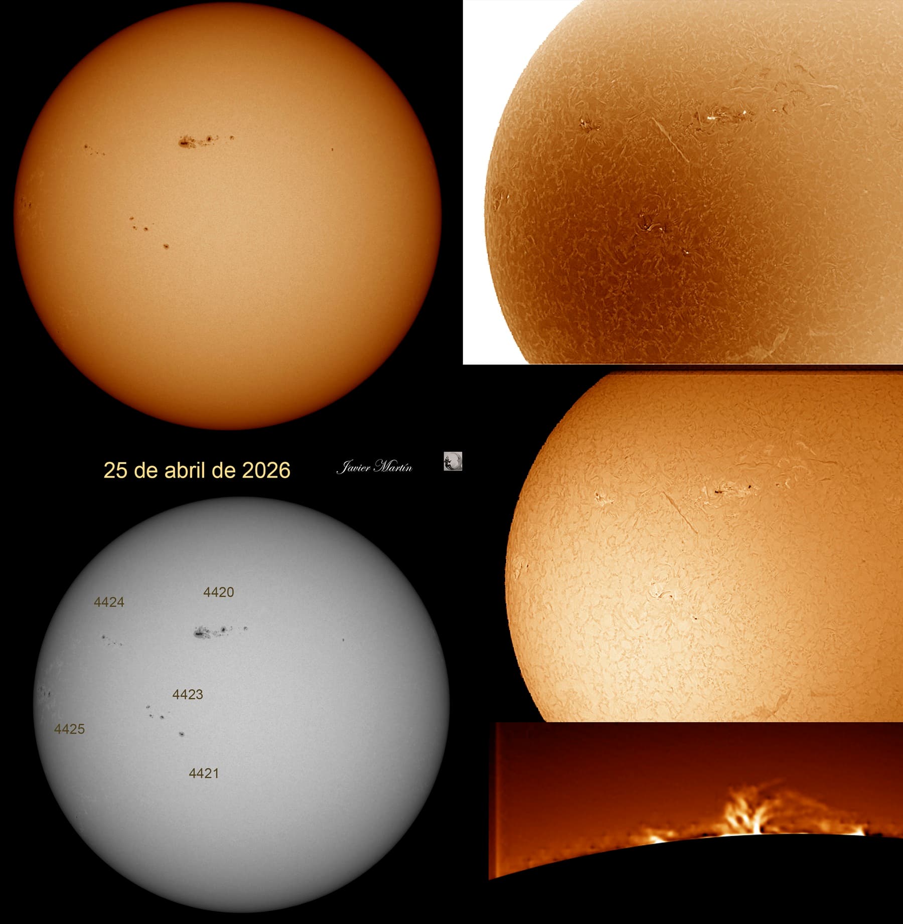 SOL 25 DE ABRIL
