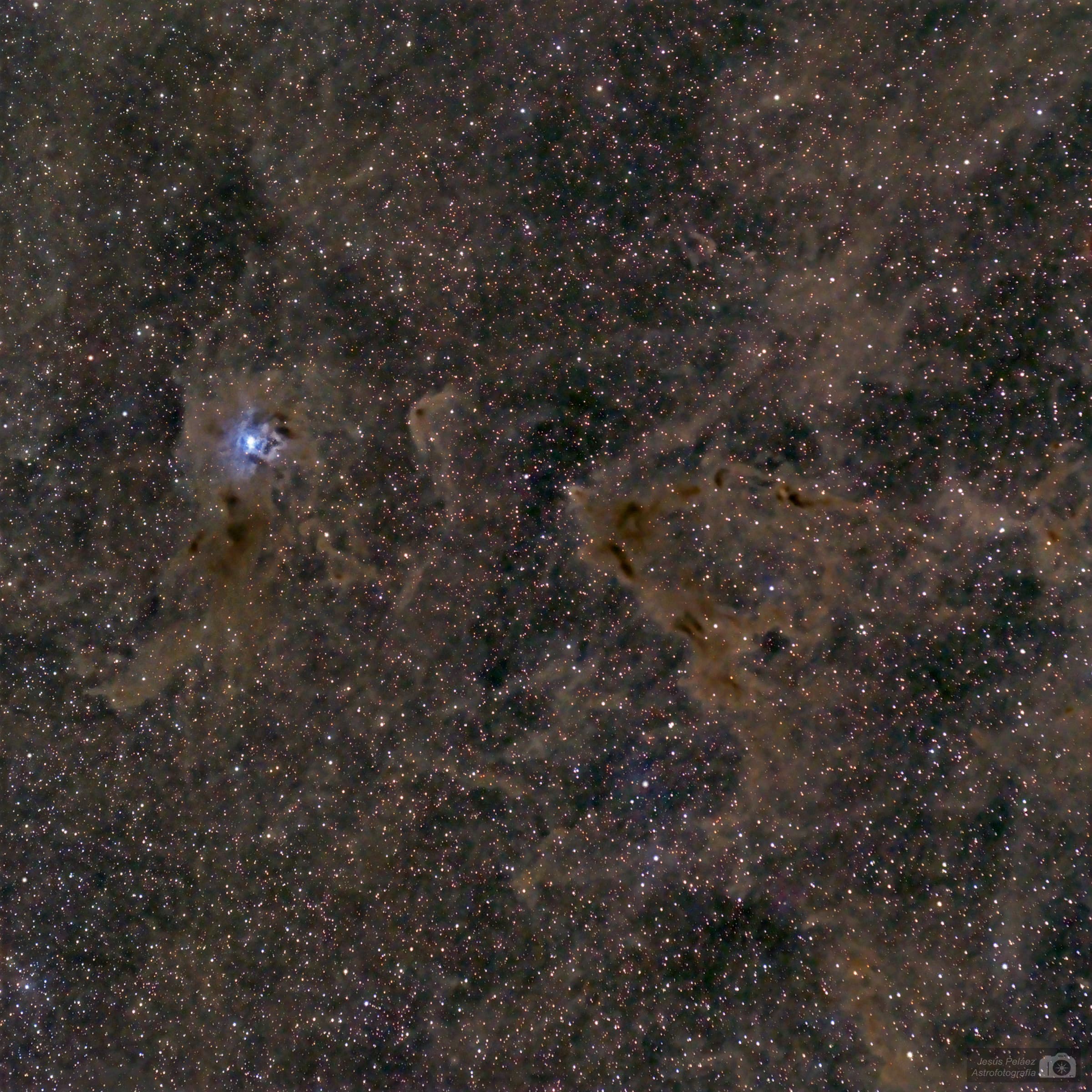La Nebulosa Iris En Cefeo