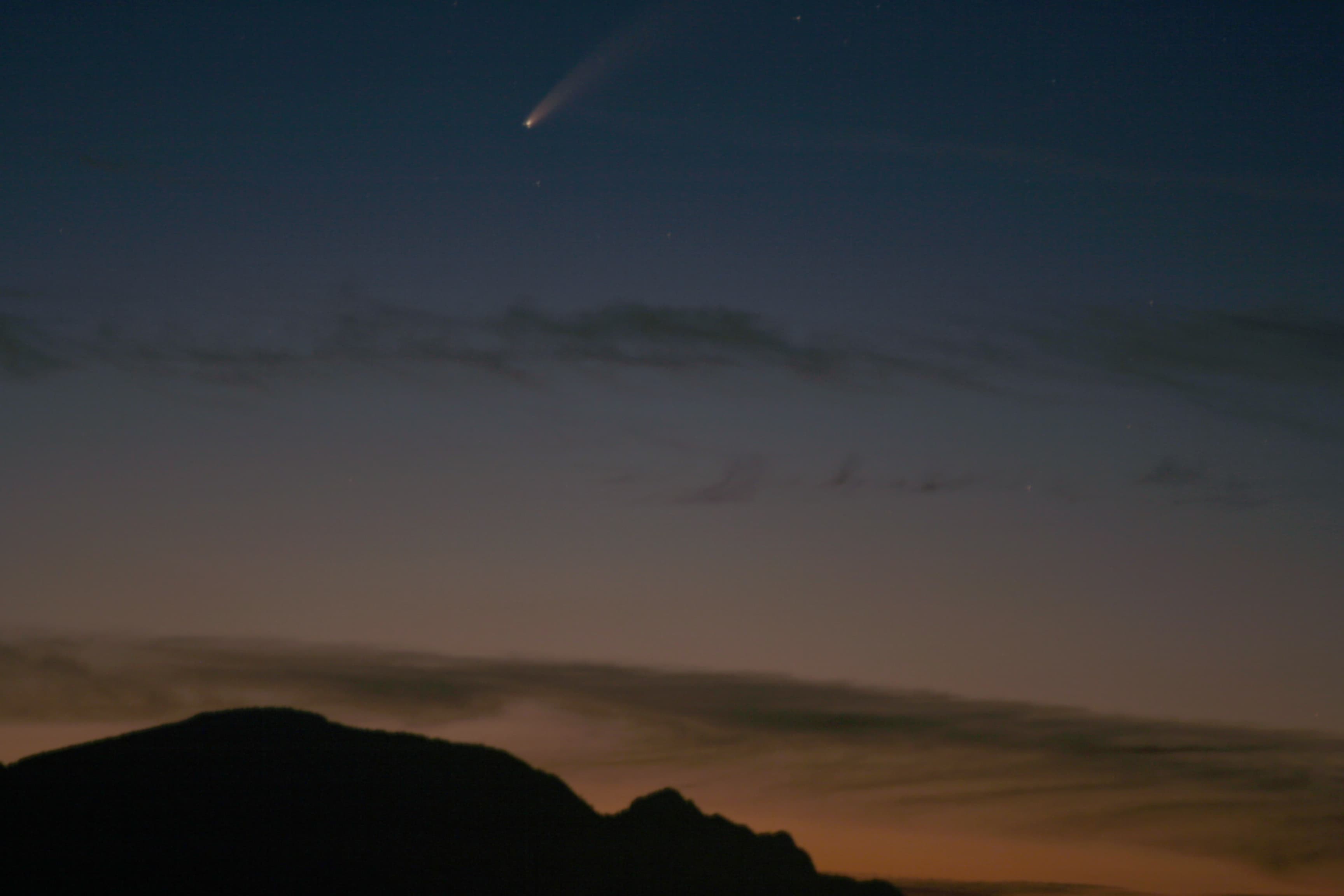 Cometa Neowise