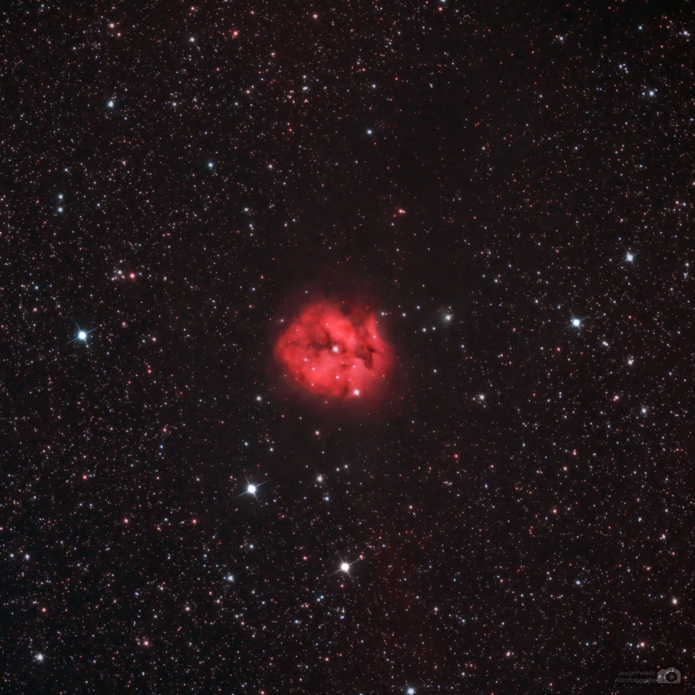 La Nebulosa Cocoon En Cisne
