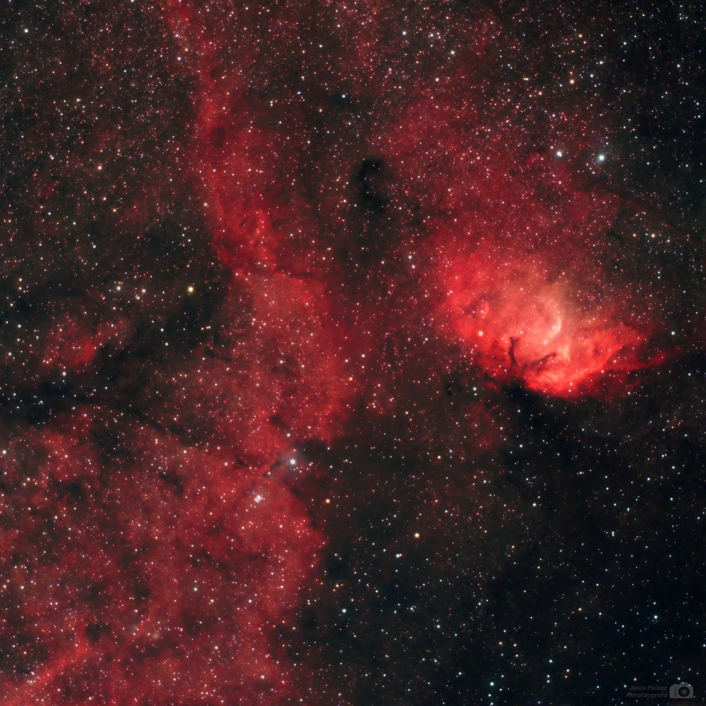  La Nebulosa Tulipán