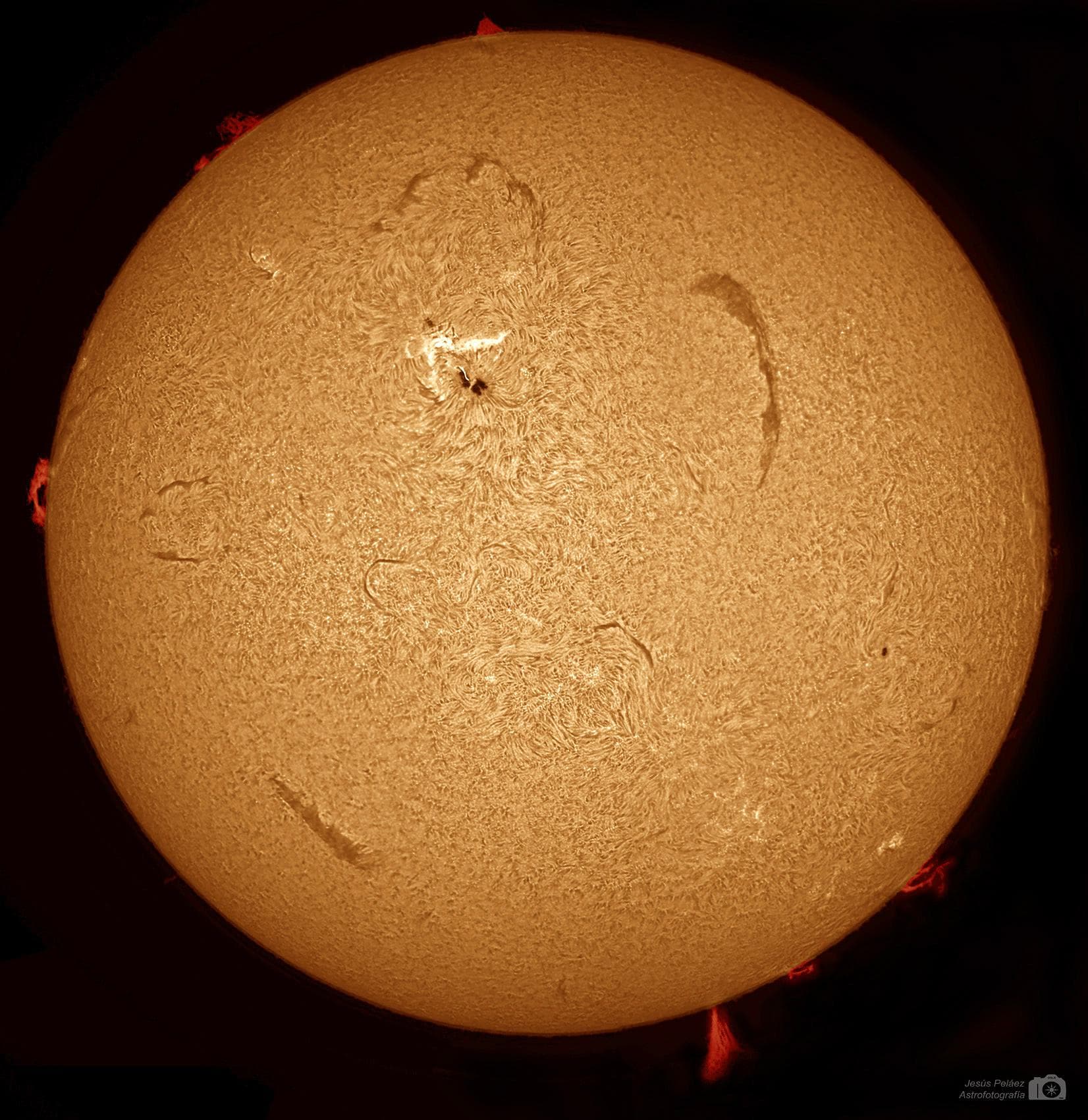 El Sol muy activo en H alfa
