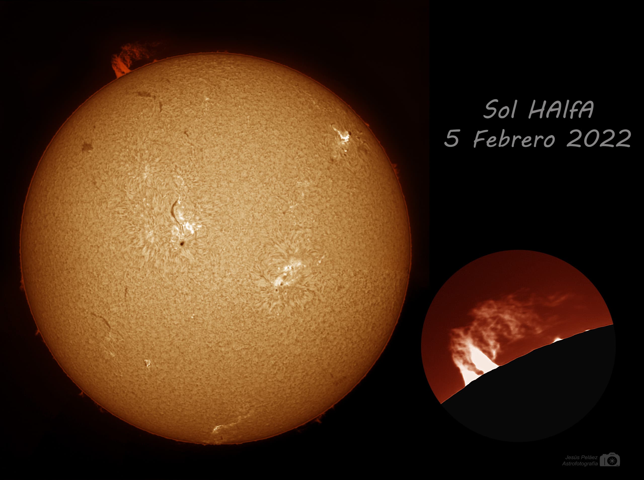  Sol Halfa