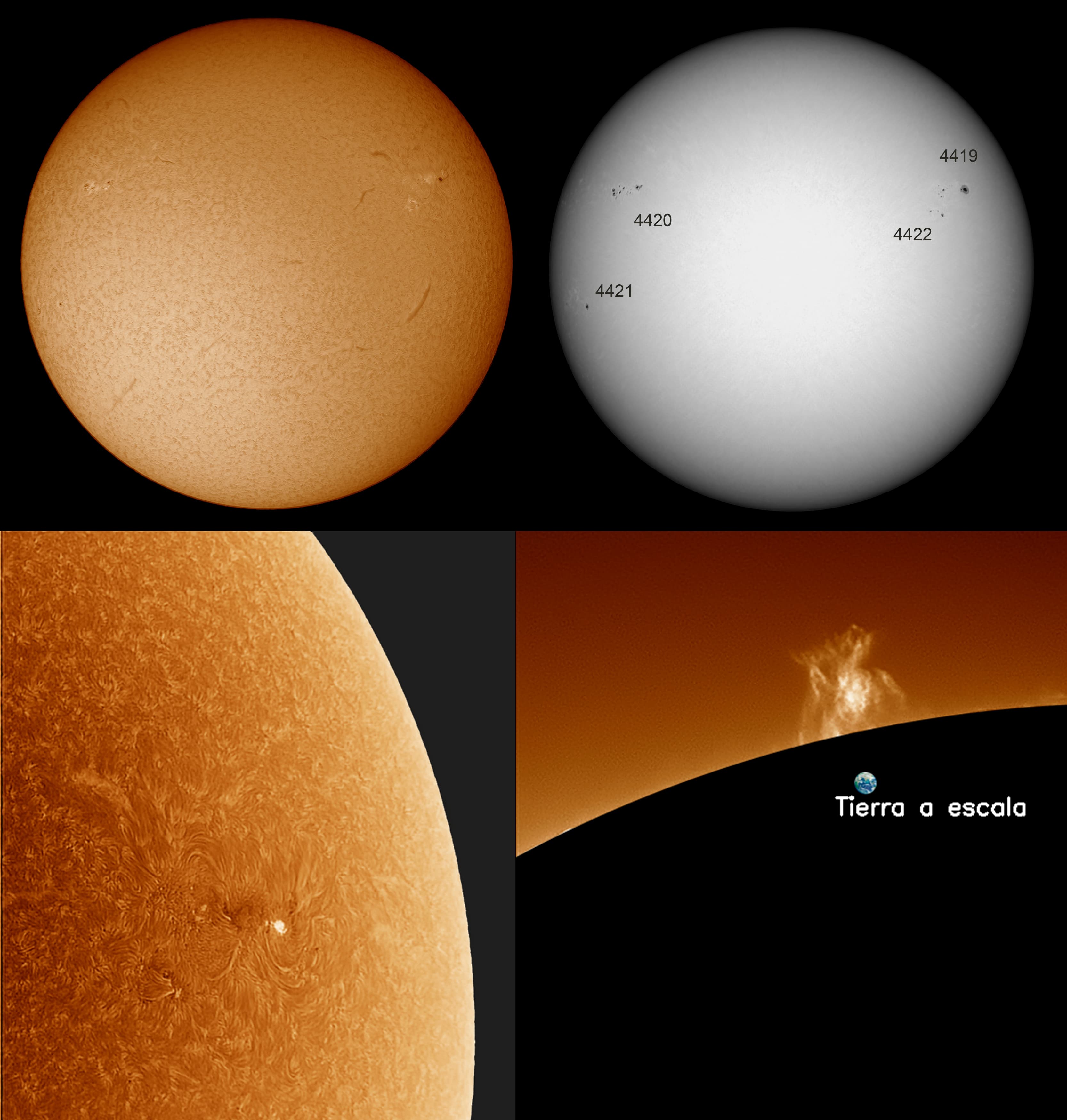 MOSAICO 22 DE ABRIL 2026 WEB