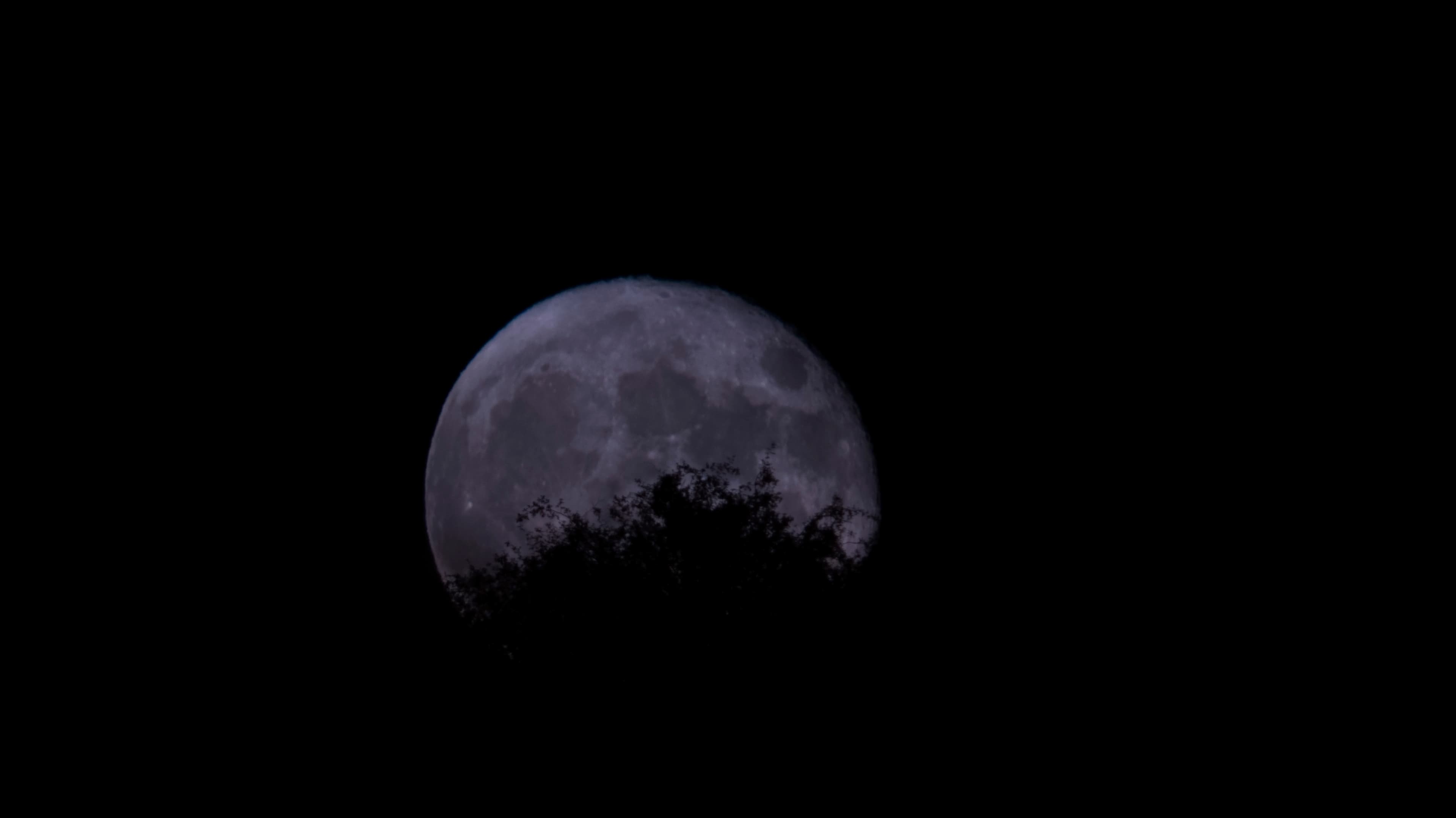  LUNA DE "FRESA" 2021