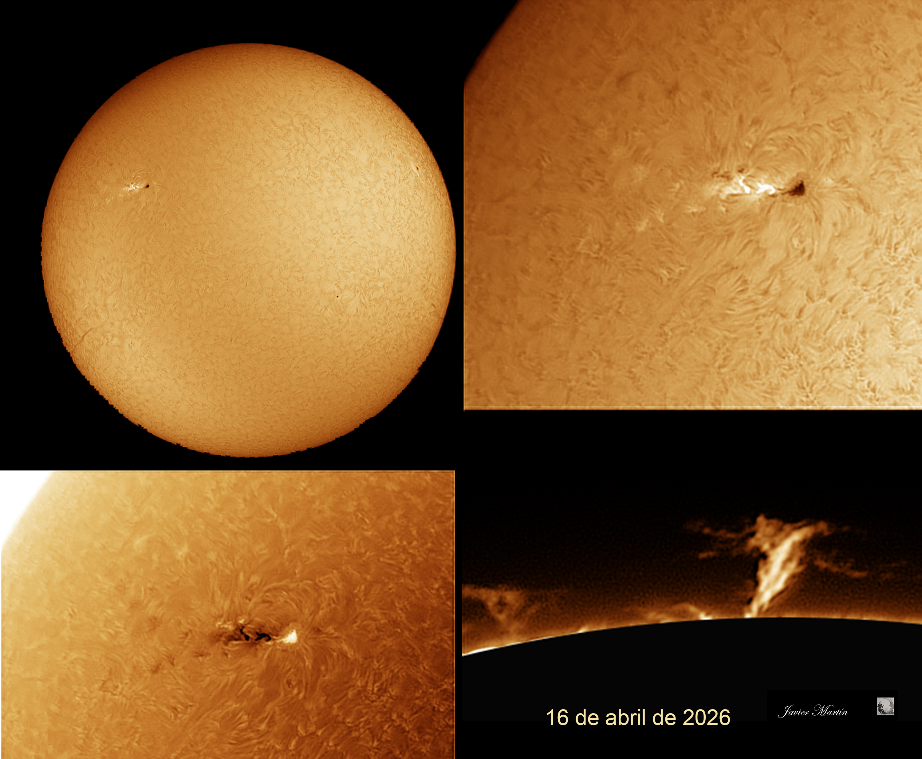 16 MOSAICO 16 DE ABRIL DE 2026 Web