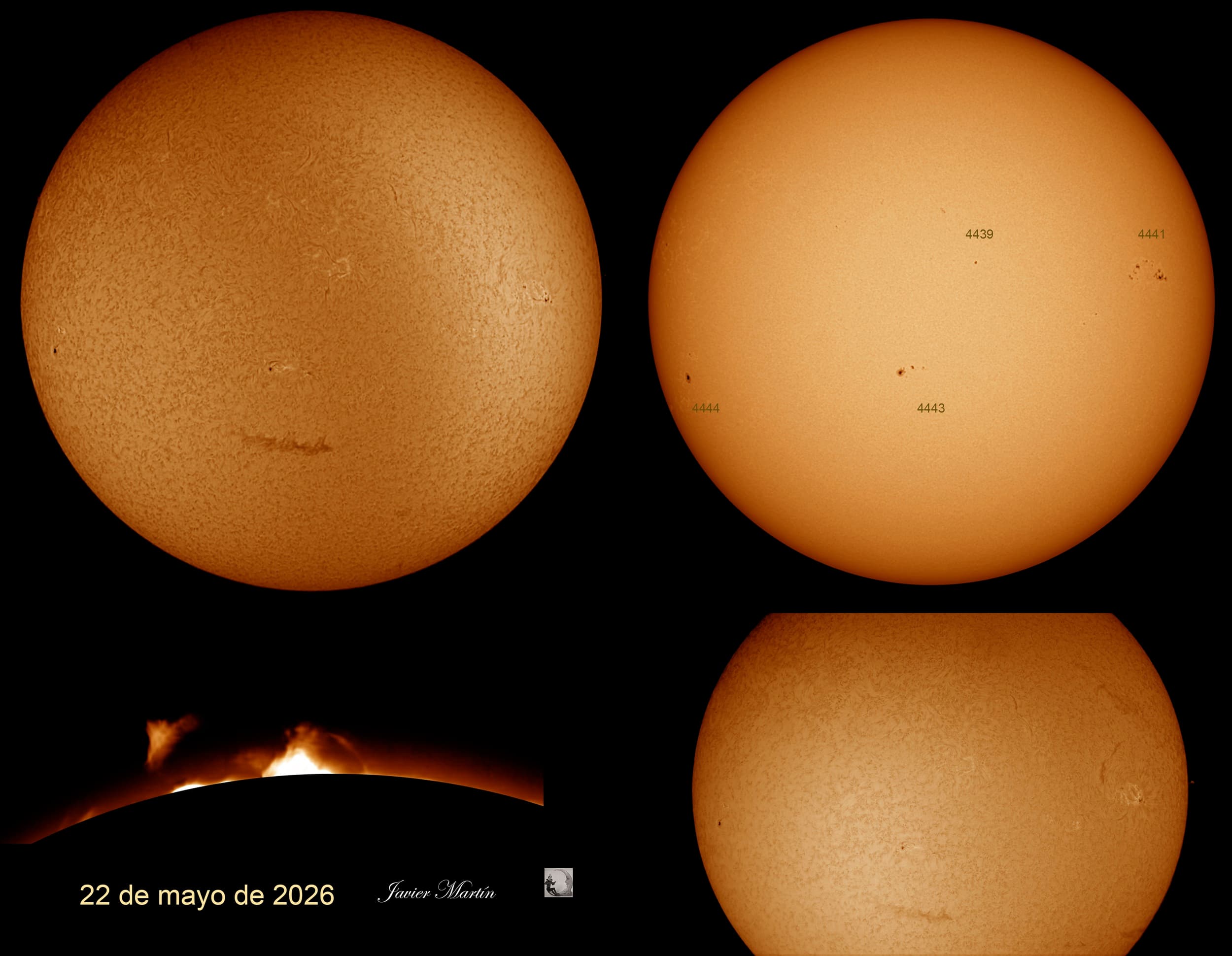 SOL 22 DE MAYO