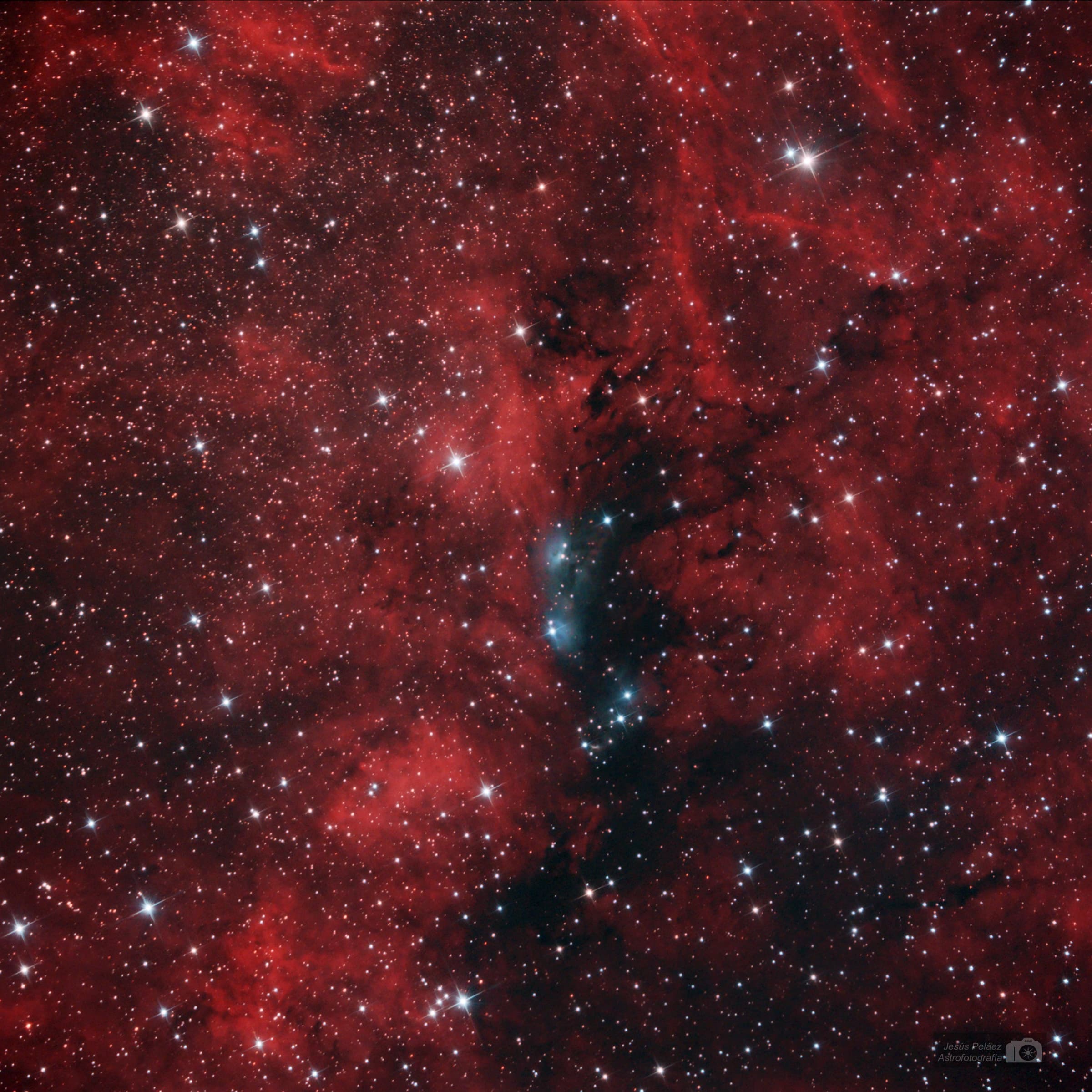 Nebulosa De Reflexión En Cisne