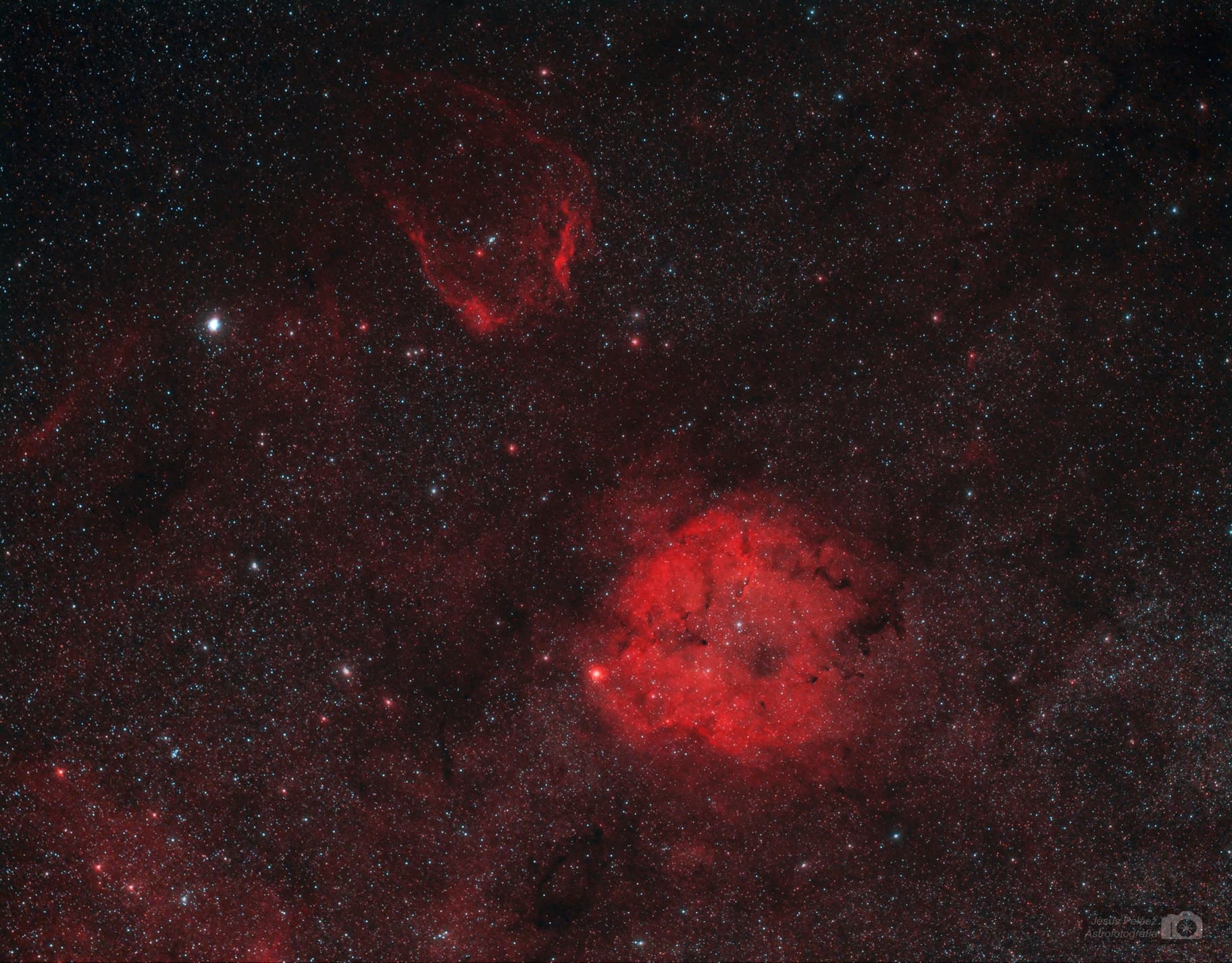 LA NEBULOSA MURCIÉLAGO Y LA TROMPA DEL ELEFANTE