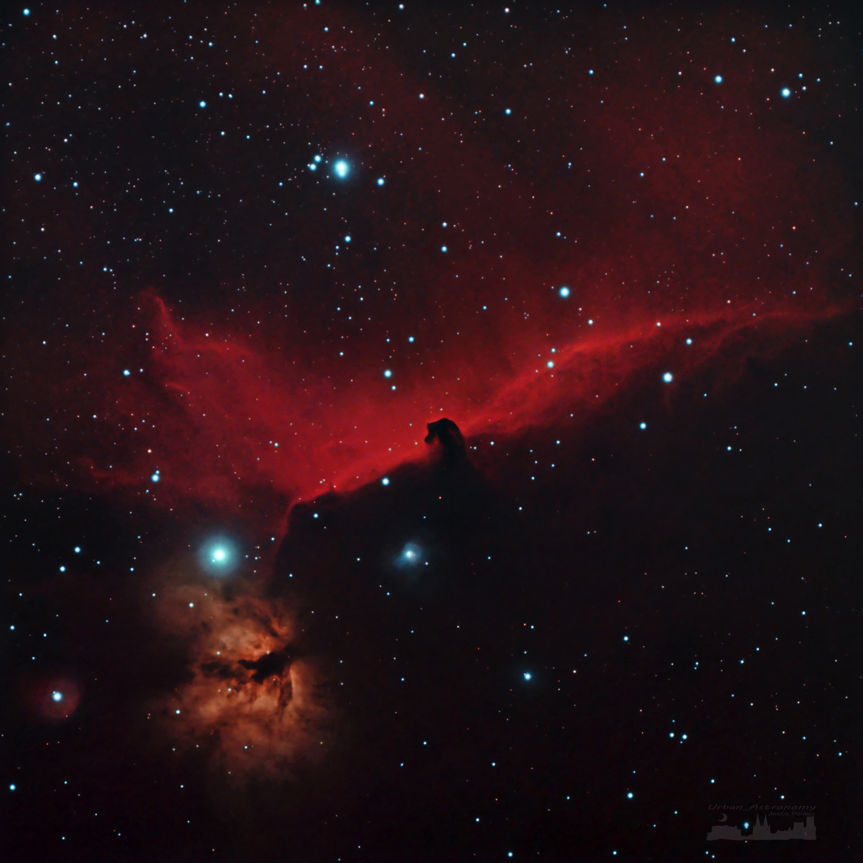 Nebulosa Cabeza De Caballo