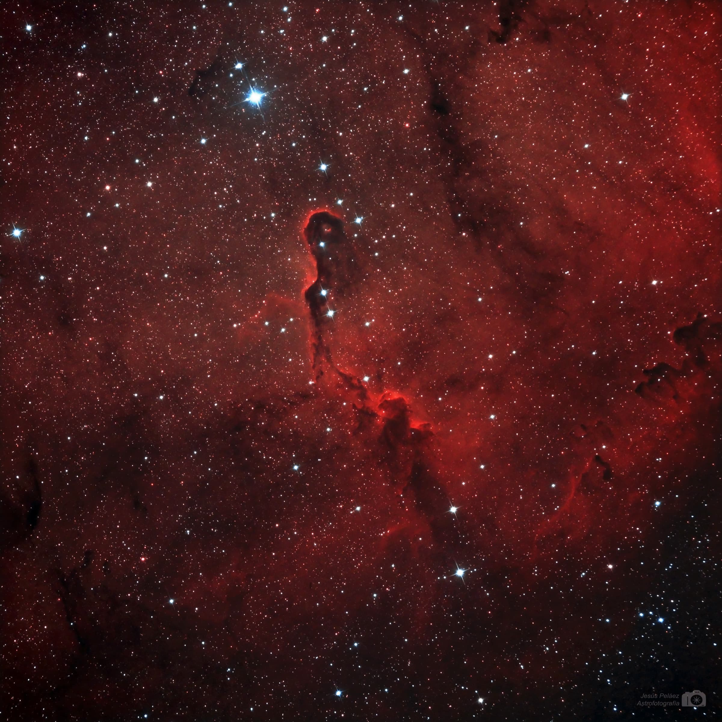 La Nebulosa Trompa De Elefante En Cefeo