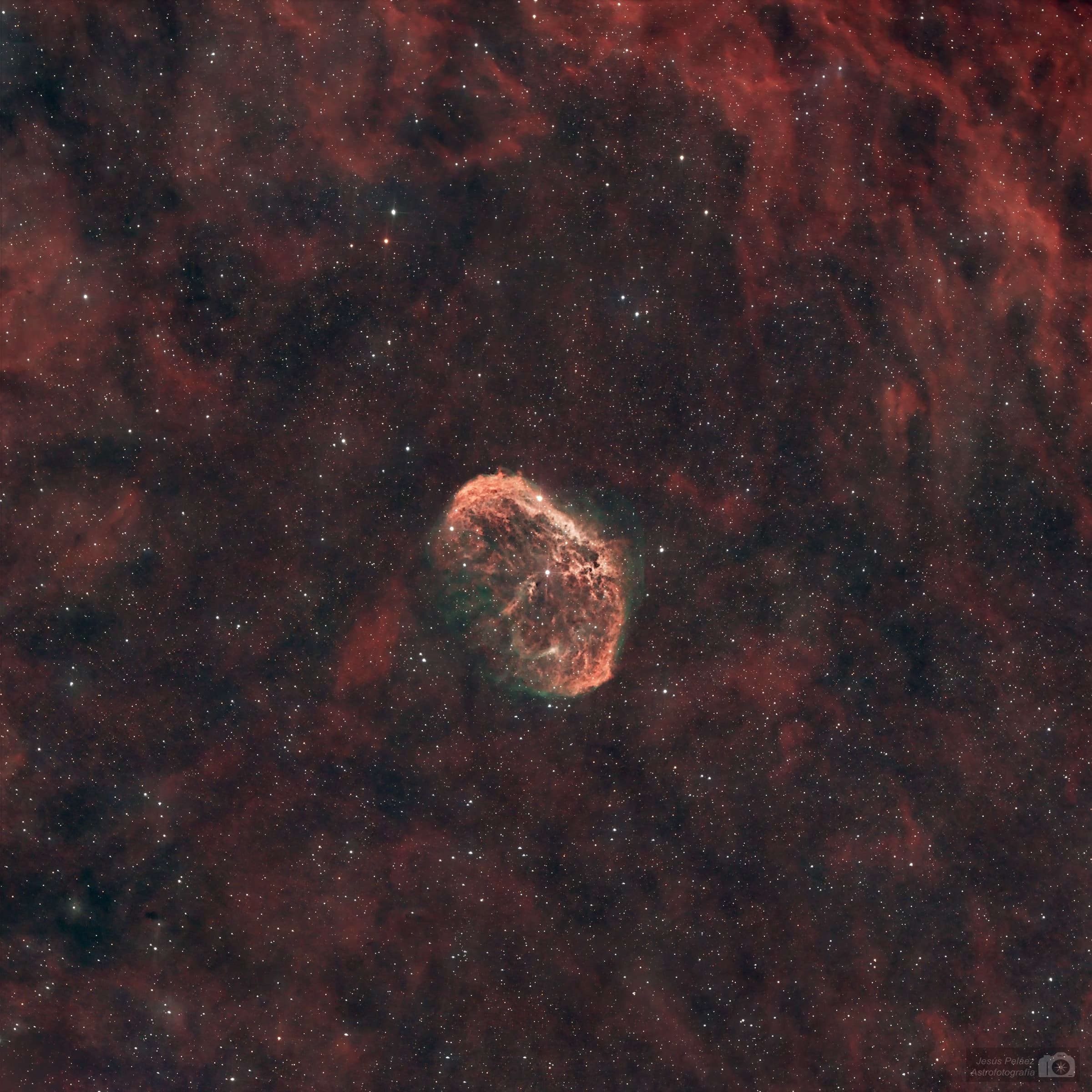 2025 10 17 La Nebulosa Creciente En Cisne
