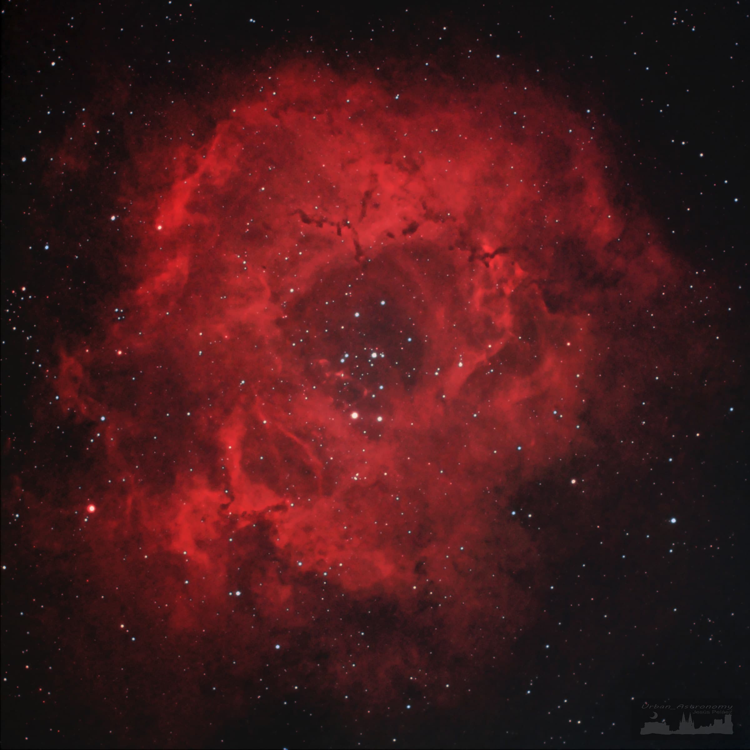 La Nebulosa Roseta Desde La Ciudad